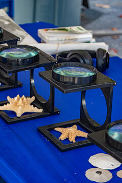 seastar learning station