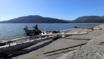 Driftwood deposited on Canadian Pacific beach