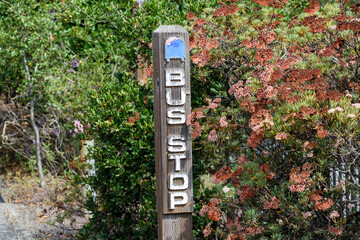 A wooden bus stop post with a partially faded sign sits near colorful plants, with green leaves and reddish flowers