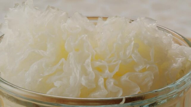 Tremella fermented salted Jamur salju or snow fungus, white colored fungi for food and medicine, popular in China and also Chinese cuisine. 
