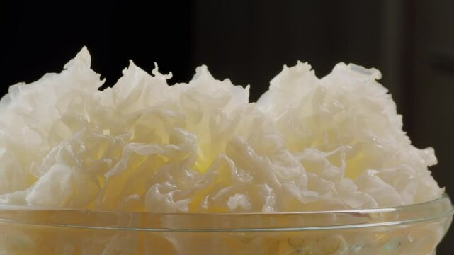 Tremella fermented salted Jamur salju or snow fungus, white colored fungi for food and medicine, popular in China and also Chinese cuisine. 