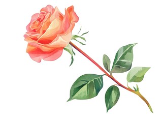 Obraz premium Watercolor clipart of a single rose, isolate on white background 