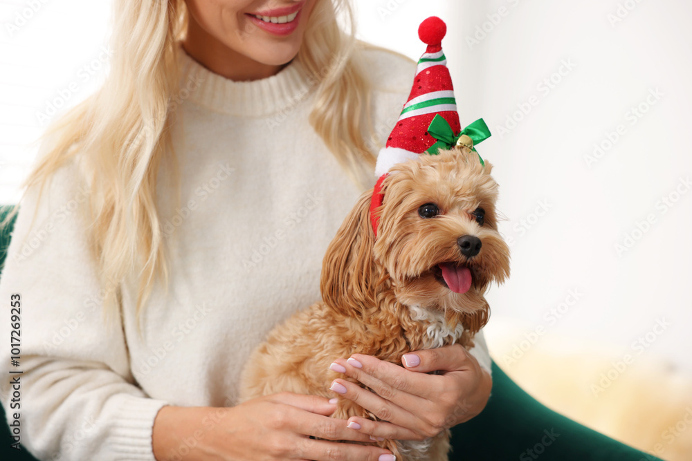 Sticker Woman with cute Maltipoo dog at home, closeup