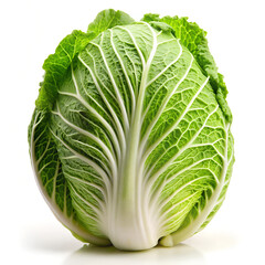 cabbage isolated on white