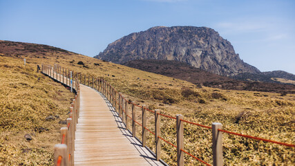 Hallasan National Park, Jeju island, South Korea, spring view of Yeongsil trail with wooden ladder path stairs, trekking and climbing, stairway to Halla mountain, hiking in Korea, Jeju-do, sunny day