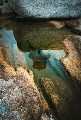 Peggy's Cove Lighthouse reflected in a tidal pool