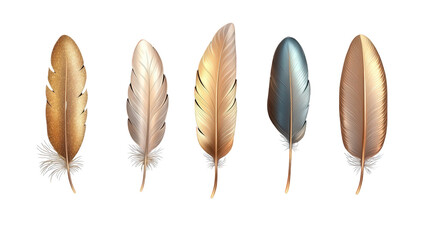 Five different colored feathers, each with a unique pattern and texture,Transparent background