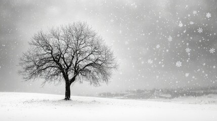 A lone tree in a vast snow-covered landscape, its branches dusted with snowflakes, evoking a sense of tranquility and winter wonder.