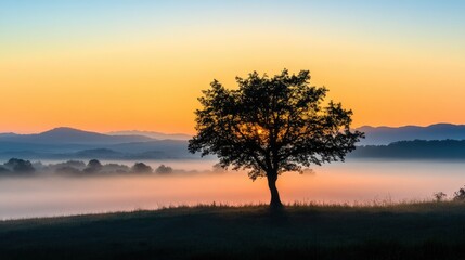 A solitary tree silhouetted against a colorful sunrise, with mist rolling through a lush valley, capturing the essence of early morning tranquility.