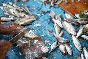 A man is cutting fish on a blue cloth