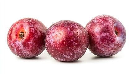 Obraz premium Soft, ripe damson plum, isolated on white background