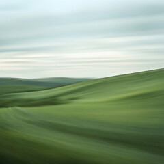 green field and blue sky