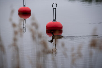 Red buoy on calm lake in evening