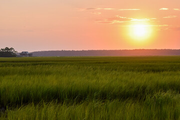 Sunset over a coastal marsh