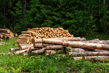 Stack of Logs