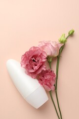 Roll-on deodorant and beautiful eustoma flowers on beige background, flat lay