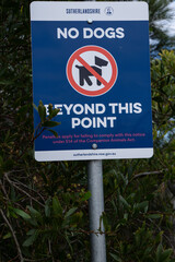 "No Dogs Beyond This Point" sign at a designated area, likely near a beach or park in Sydney, New South Wales, Australia. The sign clearly marks the boundary where pets are not permitted