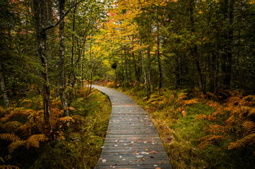 Beautifull Kouchibouguac National Park in New Brunswick