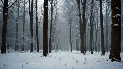 winter forest in the fog
