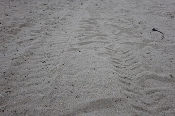 ATV track on sand