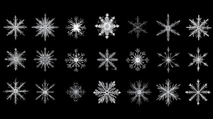 Collection of holiday star. Vector illustration decoration element for greeting card poster design