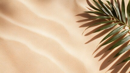 Minimalist top view of abstract beach sand with palm leaf shadows and soft waves creating a serene and tranquil background for travel and wellness inspired designs