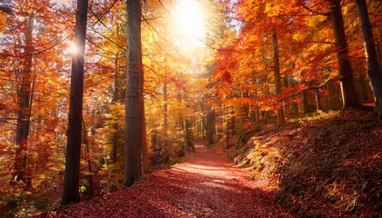 Fototapeta premium Enchanting Autumn Path Peaceful Forest Walk Amidst Fiery Fall Colors
