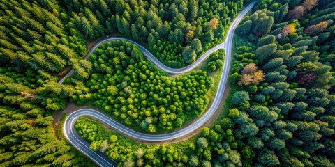 Aerial view of a winding road through a dense forest , Serpentine, Road, Forest, Aerial view, Curves, Twists, Bend
