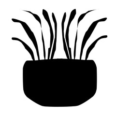 illustration of a black and white background