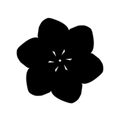 four leaf clover isolated