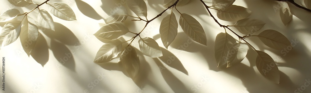 Poster soft, delicate shadows of leaves create an elegant pattern against a light background, evoking a ser