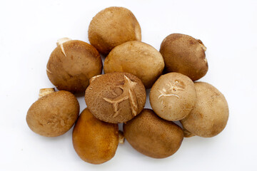 Fresh shiitake mushrooms on white background.