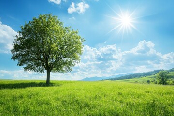Obraz premium A solitary tree stands tall in a green field with a mountain range in the background under a bright blue sky.