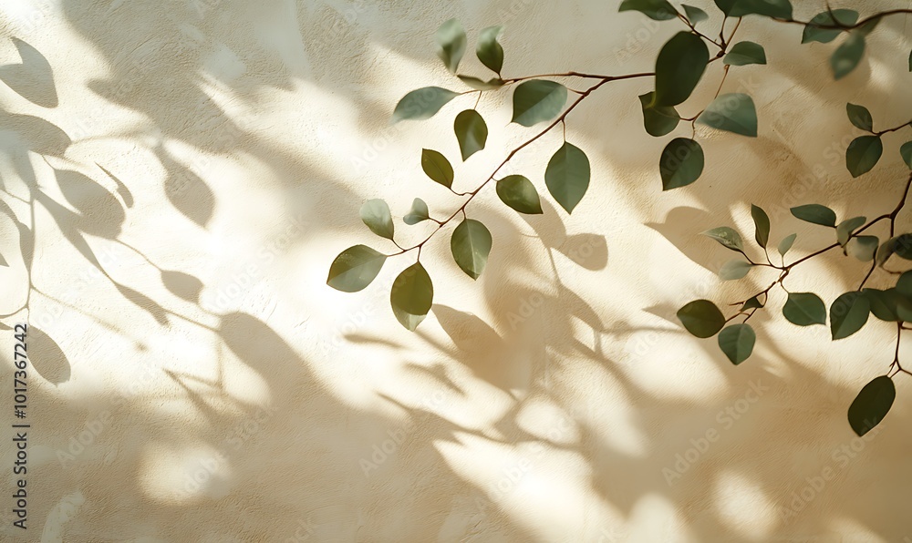 Aufkleber A serene image of green leaves casting delicate shadows against a soft, textured wall, creating an interplay of light and nature.