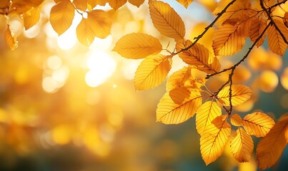 Obraz premium A serene close-up of golden autumn leaves illuminated by soft sunlight, creating a warm and tranquil atmosphere.