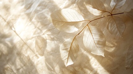 Obraz premium Delicate translucent leaves softly illuminated, creating a serene and ethereal atmosphere with muted tones and gentle textures.