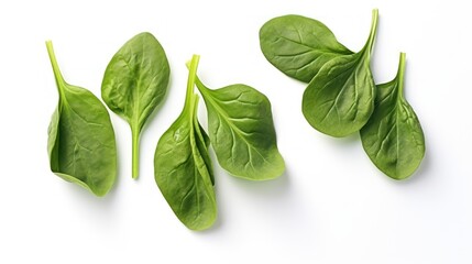 Fototapeta premium Fresh Spinach Leaves Isolated on White Background