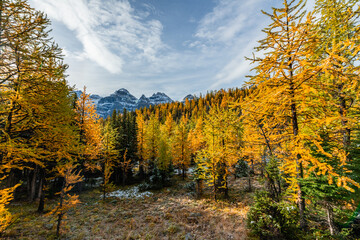 Beautiful fall time scenic views at Sentinal Pass, Larch Valley during September with light snow covering the incredible landscape in northern Canada, Banff National Park. 