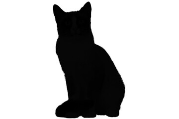 cats silhouette, on white background, isolated,