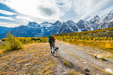 Beautiful fall time scenic views at Sentinal Pass, Larch Valley during September with light snow covering the incredible landscape in northern Canada, Banff National Park. 