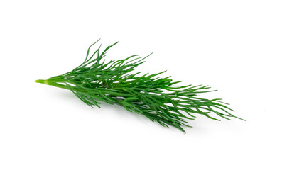 Fresh organic dill leaves on a white background with fresh dill leaves. Seasoning for cooking in the kitchen