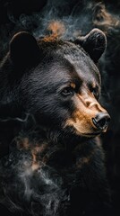 Fototapeta premium bear isolated on abstract background