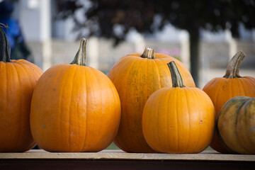 Large orange pumpkins in sunlight on a rustic wooden table at a harvest festival in autumn season