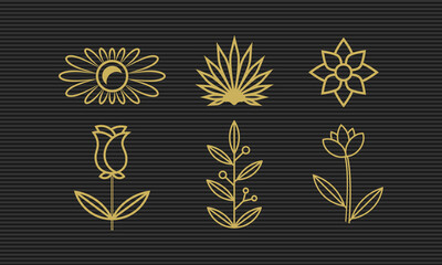 Elegant floral line art collection for modern botanical and decorative designs

