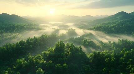 Dramatic Sunrise Over Lush Forest Landscape