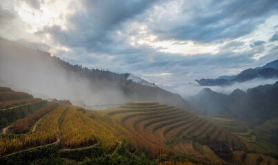 Morning landscape with magical mist over the city © PyTran