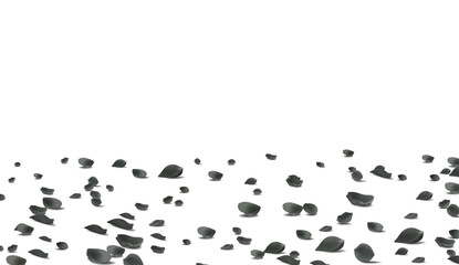 Falling black Rose petals Vector illustration. Red rose petals on fake transparent 4k