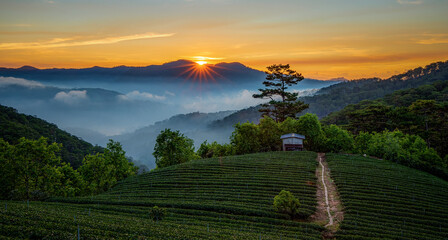 Morning landscape with magical mist over the city
