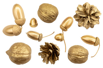 Golden collection of plants for flat lay. Walnuts, cones, acorns on isolated background. Design element, cut out. Holidays, Christmas, New Year, March 8th, birthday. Luxury environment