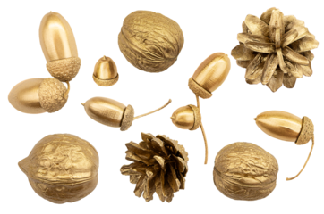 Golden collection of plants for flat lay. Walnuts, cones, acorns on isolated background. Design element, cut out. Holidays, Christmas, New Year, March 8th, birthday. Luxury environment